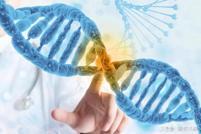 傲群医疗器械清洁刷：“刷” 出生物医药领